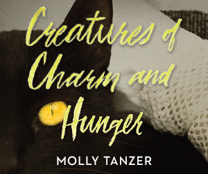 Q Tbn 3aand9gcqqhdsulwchoc58ozy1bhdiy3eqgctt4mlqsq Usqp Cau