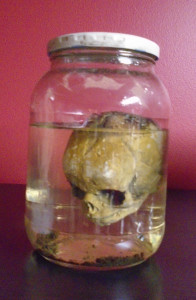 Prop from first season of American Horror Story - Photo by Lisa Morton